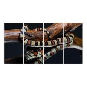 DekoGlas Glasbild aus Echtglas | Motiv König Schlange | 4-teilig | Maße 28x60 | individuelle Motive im Digitaldruck | Wanddeko für Flur, Küche, Wohnzimmer & Büro | Geschenkidee für Ihre Liebsten