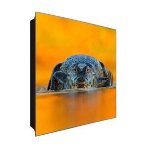  Schlüsselkästchen aus Echtglas | Motiv Krokodil Angriff | Maße 30x30 cm | Verschiedene Motive im Digitaldruck | Schlüsselaufbewahrung inklusive Haken | für Eingangsbereich und Wohnungsflur