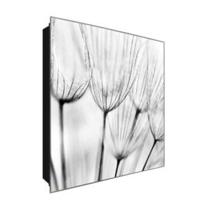  Schlüsselkästchen aus Echtglas | Motiv Makro Pusteblume | Maße 30x30 cm | Verschiedene Motive im Digitaldruck | Schlüsselaufbewahrung inklusive Haken | für Eingangsbereich und Wohnungsflur