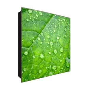  Schlüsselkasten 'Blättertau' 30x30 Glas, inkl. Haken Schlüsselbrett Schlüssel-Box Design Aufbewahrung