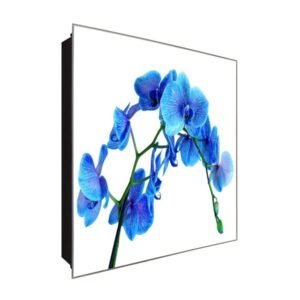  Schlüsselkasten 'Blaue Orchidee' 30x30 Glas, inkl. Haken Schlüsselbrett Schlüssel-Box Design Aufbewahrung
