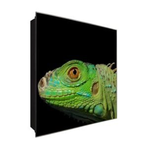  Schlüsselkasten 'Bunter Chamäleon' 30x30 Glas, inkl. Haken Schlüsselbrett Schlüssel-Box Design Aufbewahrung