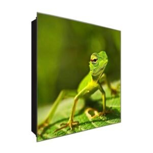  Schlüsselkasten 'Chamäleon ' 30x30 Glas, inkl. Haken Schlüsselbrett Schlüssel-Box Design Aufbewahrung