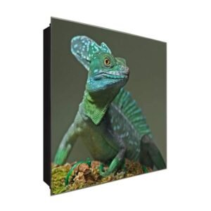  Schlüsselkasten 'Chamäleon Style' 30x30 Glas, inkl. Haken Schlüsselbrett Schlüssel-Box Design Aufbewahrung