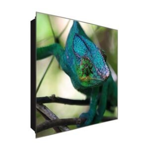  Schlüsselkasten 'Chamäleon im Profil' 30x30 Glas, inkl. Haken Schlüsselbrett Schlüssel-Box Design Aufbewahrung