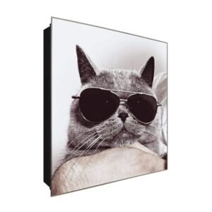  Schlüsselkasten 'Cool cat' 30x30 Glas, inkl. Haken Schlüsselbrett Schlüssel-Box Design Aufbewahrung