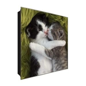  Schlüsselkasten 'Cuddling Cats' 30x30 Glas, inkl. Haken Schlüsselbrett Schlüssel-Box Design Aufbewahrung