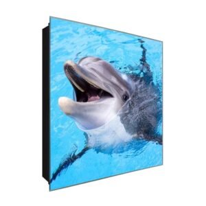  Schlüsselkasten 'Delfine' 30x30 Glas, inkl. Haken Schlüsselbrett Schlüssel-Box Design Aufbewahrung