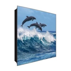  Schlüsselkasten 'Delfine und Wellen' 30x30 Glas, inkl. Haken Schlüsselbrett Schlüssel-Box Design Aufbewahrung