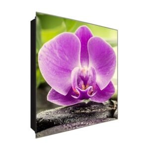  Schlüsselkasten 'Einblicke der Natur' 30x30 Glas, inkl. Haken Schlüsselbrett Schlüssel-Box Design Aufbewahrung