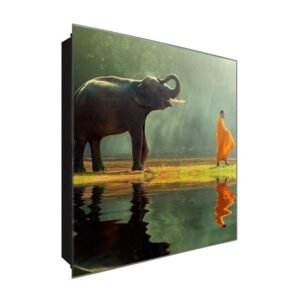 Schlüsselkasten 'Elefant in Indien' 30x30 Glas, inkl. Haken Schlüsselbrett Schlüssel-Box Design Aufbewahrung