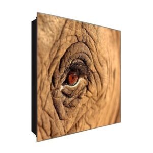  Schlüsselkasten 'Elefanten Auge' 30x30 Glas, inkl. Haken Schlüsselbrett Schlüssel-Box Design Aufbewahrung
