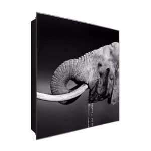  Schlüsselkasten 'Elefantendurst' 30x30 Glas, inkl. Haken Schlüsselbrett Schlüssel-Box Design Aufbewahrung