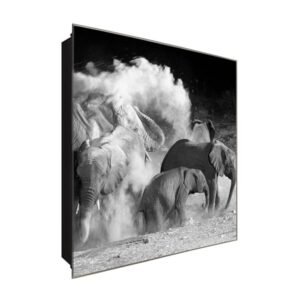  Schlüsselkasten 'Elefantenherde' 30x30 Glas, inkl. Haken Schlüsselbrett Schlüssel-Box Design Aufbewahrung