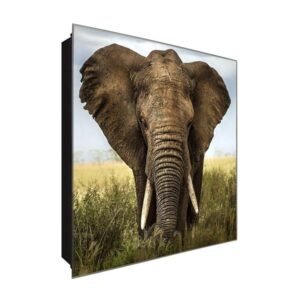  Schlüsselkasten 'Elefantenleben' 30x30 Glas, inkl. Haken Schlüsselbrett Schlüssel-Box Design Aufbewahrung