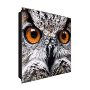  Schlüsselkasten 'Eule' 30x30 Glas, inkl. Haken Schlüsselbrett Schlüssel-Box Design Aufbewahrung