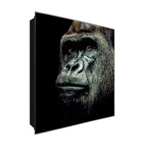  Schlüsselkasten 'Faszination Primaten' 30x30 Glas, inkl. Haken Schlüsselbrett Schlüssel-Box Design Aufbewahrung