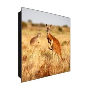  Schlüsselkasten 'Flotter Känguru' 30x30 Glas, inkl. Haken Schlüsselbrett Schlüssel-Box Design Aufbewahrung