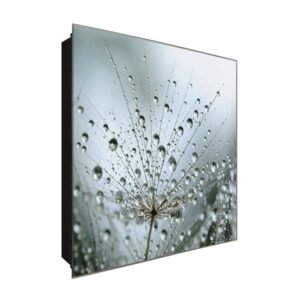  Schlüsselkasten 'Flugsamen im Regen' 30x30 Glas, inkl. Haken Schlüsselbrett Schlüssel-Box Design Aufbewahrung