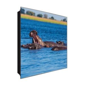  Schlüsselkasten 'Flusspferd' 30x30 Glas, inkl. Haken Schlüsselbrett Schlüssel-Box Design Aufbewahrung