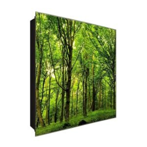  Schlüsselkasten 'Forest Life ' 30x30 Glas, inkl. Haken Schlüsselbrett Schlüssel-Box Design Aufbewahrung