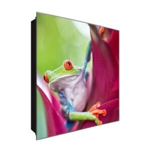  Schlüsselkasten 'Frosch auf Bromelie' 30x30 Glas, inkl. Haken Schlüsselbrett Schlüssel-Box Design Aufbewahrung