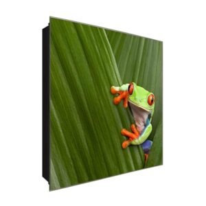  Schlüsselkasten 'Frosch oder Prinz' 30x30 Glas, inkl. Haken Schlüsselbrett Schlüssel-Box Design Aufbewahrung