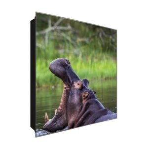  Schlüsselkasten 'Gähnender Flusspferd' 30x30 Glas, inkl. Haken Schlüsselbrett Schlüssel-Box Design Aufbewahrung