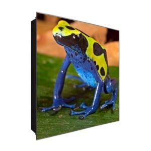  Schlüsselkasten 'Gelb Blauer Frosch' 30x30 Glas, inkl. Haken Schlüsselbrett Schlüssel-Box Design Aufbewahrung