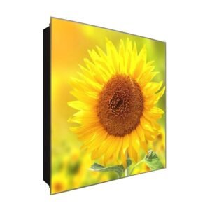  Schlüsselkasten 'Gelbe wie die Sonne' 30x30 Glas, inkl. Haken Schlüsselbrett Schlüssel-Box Design Aufbewahrung