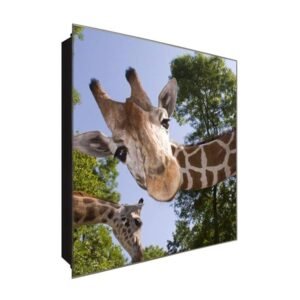  Schlüsselkasten 'Giraffen Gespräch' 30x30 Glas, inkl. Haken Schlüsselbrett Schlüssel-Box Design Aufbewahrung