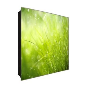  Schlüsselkasten 'Grashalme' 30x30 Glas, inkl. Haken Schlüsselbrett Schlüssel-Box Design Aufbewahrung