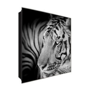  Schlüsselkasten 'Grauer Tiger' 30x30 Glas, inkl. Haken Schlüsselbrett Schlüssel-Box Design Aufbewahrung