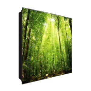  Schlüsselkasten 'Grüne Lichtstrahlen' 30x30 Glas, inkl. Haken Schlüsselbrett Schlüssel-Box Design Aufbewahrung