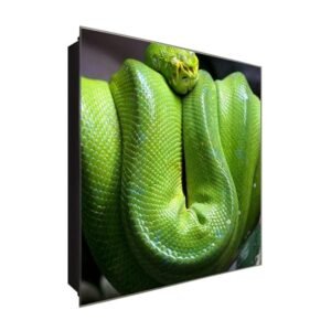  Schlüsselkasten 'Grüne Schlange' 30x30 Glas, inkl. Haken Schlüsselbrett Schlüssel-Box Design Aufbewahrung