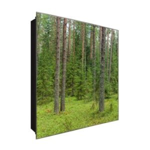  Schlüsselkasten 'Grüne Sicht' 30x30 Glas, inkl. Haken Schlüsselbrett Schlüssel-Box Design Aufbewahrung