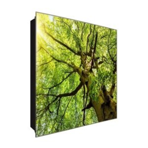  Schlüsselkasten 'Grüner Baum' 30x30 Glas, inkl. Haken Schlüsselbrett Schlüssel-Box Design Aufbewahrung