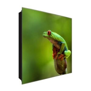  Schlüsselkasten 'Grüner Frosch' 30x30 Glas, inkl. Haken Schlüsselbrett Schlüssel-Box Design Aufbewahrung