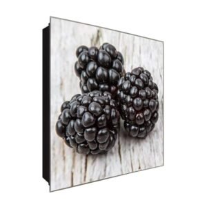  Schlüsselkasten 'Himbeeren' 30x30 Glas, inkl. Haken Schlüsselbrett Schlüssel-Box Design Aufbewahrung