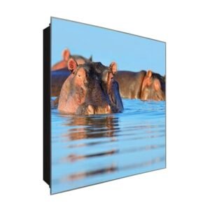  Schlüsselkasten 'Hippo am See' 30x30 Glas, inkl. Haken Schlüsselbrett Schlüssel-Box Design Aufbewahrung