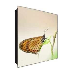  Schlüsselkasten 'Hübscher Falter' 30x30 Glas, inkl. Haken Schlüsselbrett Schlüssel-Box Design Aufbewahrung