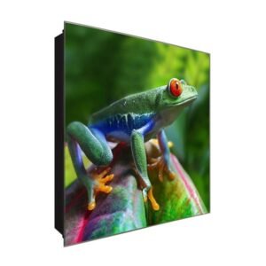  Schlüsselkasten 'Hübscher Frosch' 30x30 Glas, inkl. Haken Schlüsselbrett Schlüssel-Box Design Aufbewahrung