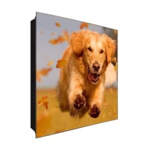  Schlüsselkasten 'Hund' 30x30 Glas, inkl. Haken Schlüsselbrett Schlüssel-Box Design Aufbewahrung