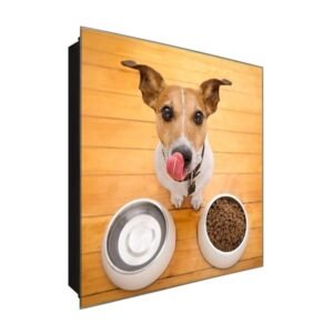  Schlüsselkasten 'Hund' 30x30 Glas, inkl. Haken Schlüsselbrett Schlüssel-Box Design Aufbewahrung