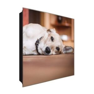  Schlüsselkasten 'Hund' 30x30 Glas, inkl. Haken Schlüsselbrett Schlüssel-Box Design Aufbewahrung