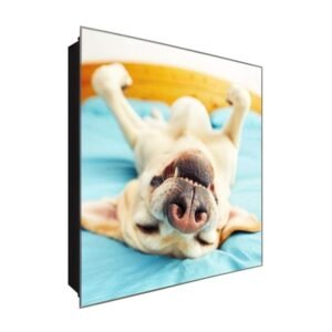  Schlüsselkasten 'Hund Relaxt' 30x30 Glas, inkl. Haken Schlüsselbrett Schlüssel-Box Design Aufbewahrung