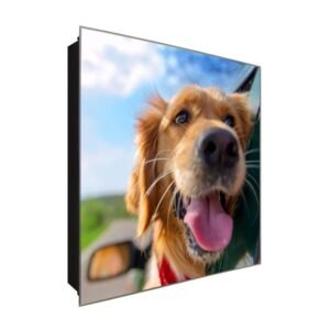  Schlüsselkasten 'Hund im Auto' 30x30 Glas, inkl. Haken Schlüsselbrett Schlüssel-Box Design Aufbewahrung