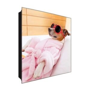  Schlüsselkasten 'Hund im Bademantel' 30x30 Glas, inkl. Haken Schlüsselbrett Schlüssel-Box Design Aufbewahrung