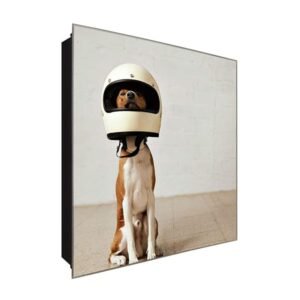  Schlüsselkasten 'Hund mit Helm' 30x30 Glas, inkl. Haken Schlüsselbrett Schlüssel-Box Design Aufbewahrung