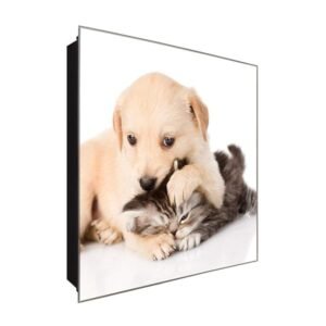  Schlüsselkasten 'Hund&Katz' 30x30 Glas, inkl. Haken Schlüsselbrett Schlüssel-Box Design Aufbewahrung